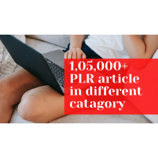 1, 05,000+ PLR articles in different catagory niches for blog book website etc