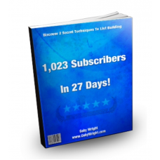 1,023 Subscribers In 27 Days Audio Course