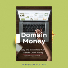 Domain Money Ebook Audiobook MRR