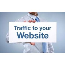 I will send 1000 visitors to your website