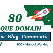 80 SEO unique domains blog comments backlinks